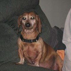 Donna Hodges Thompson