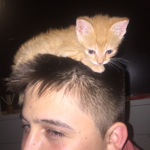 Kasinova Tha Don Hail Mary Part 2 Ft K N9ne Lyrics 2pac S Cover By Chasepeters