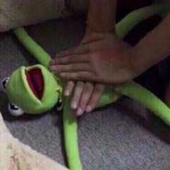 *•*•*•*•*•*•*