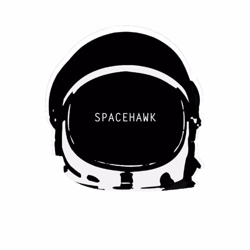 SpacehawkMY’s avatar