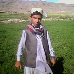 mati don