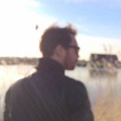 Arjen de Vries
