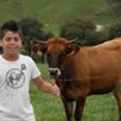 Manuel Alcalde Soler