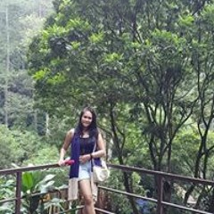 Firlysn