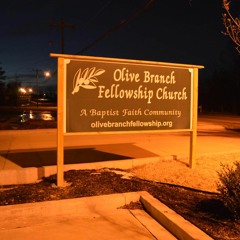 Olive Branch Fellowship