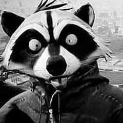 Raccoongamingnl