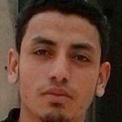 محمد عبدالمتعال محمد