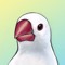 Java Sparrow