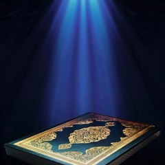 مُحمد عبد المطلب