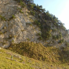 Wirrmontier
