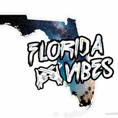 FLORIDA VIBES