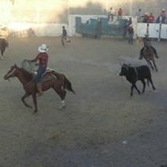 Toñolanzilla Pille