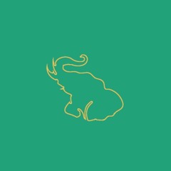 Elephant in the room