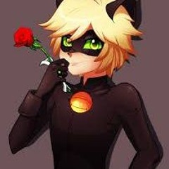 ChatNoirFanboy22