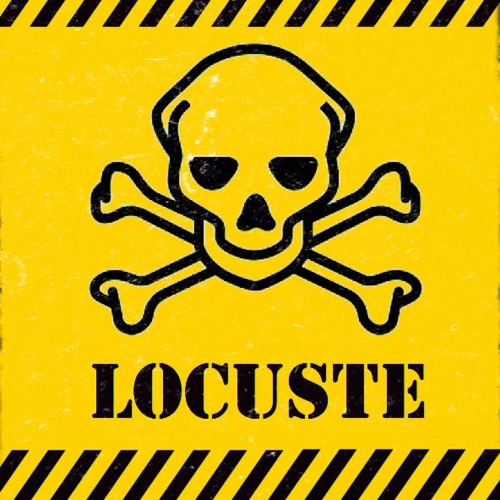 Locuste’s avatar