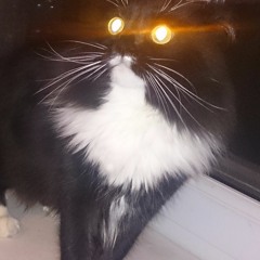 николай лагута