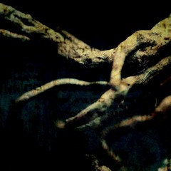 Lost Script - Sea Of Silence