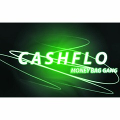 CashFlo516