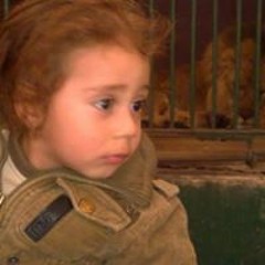 Waleed Sayd