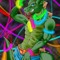Tropicalwarmth [AKA DJ INTEGRITY]
