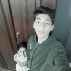 Ashraf Amr Elmohamedy