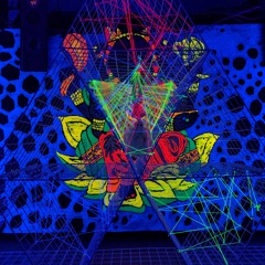dj hyponex