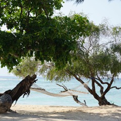 Victoria Kortschagin