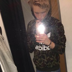 Vilmeeer