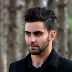 Nader Hamshary