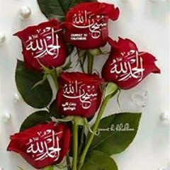 احمد عامر