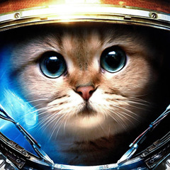 DaSpaceKitty