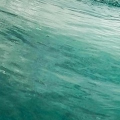 Curated Audiogasm