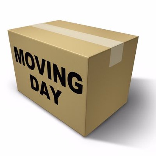 Sarasota Mover’s avatar