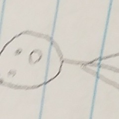 eggs dee