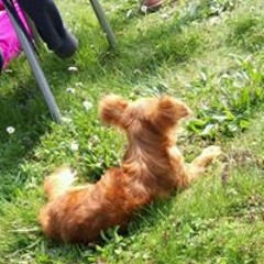 Maximilian Schneider