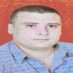 Amr Hassanin