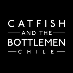 Catfish and the Bottlemen Chile
