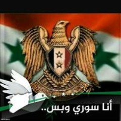 د.علي محمد الحلو