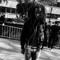 VonTheApe