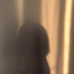 snnlys_