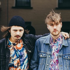 Die Stimmen vom Rücksitz