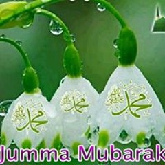 Hadia Hassan