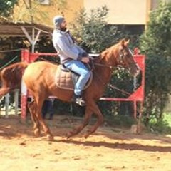 ChehadeKhalaf