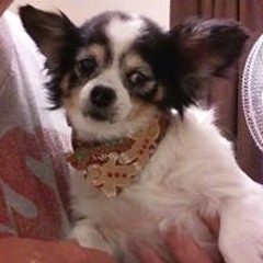 Cynthia Samons Neudigate