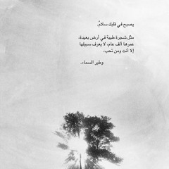 أمنية صبرى