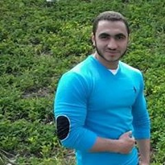 Sayed Mohsen Ahmed