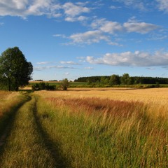 britneymozellabeier75