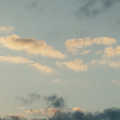 Oakes
