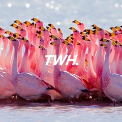 twh.14