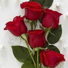 رعد العزام